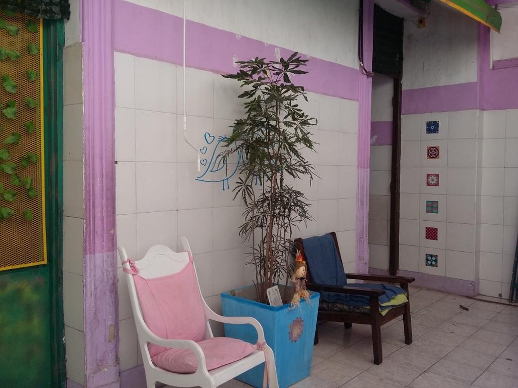 Hospedaje La Rana Buenos Aires Exteriör bild