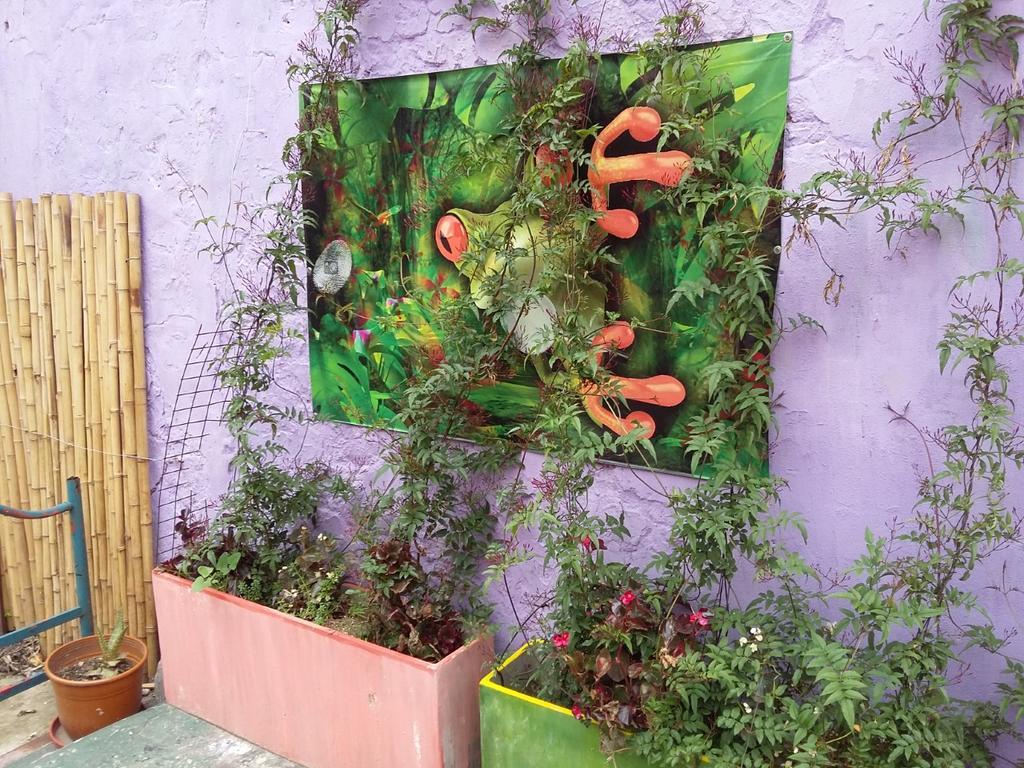 Hospedaje La Rana Buenos Aires Exteriör bild